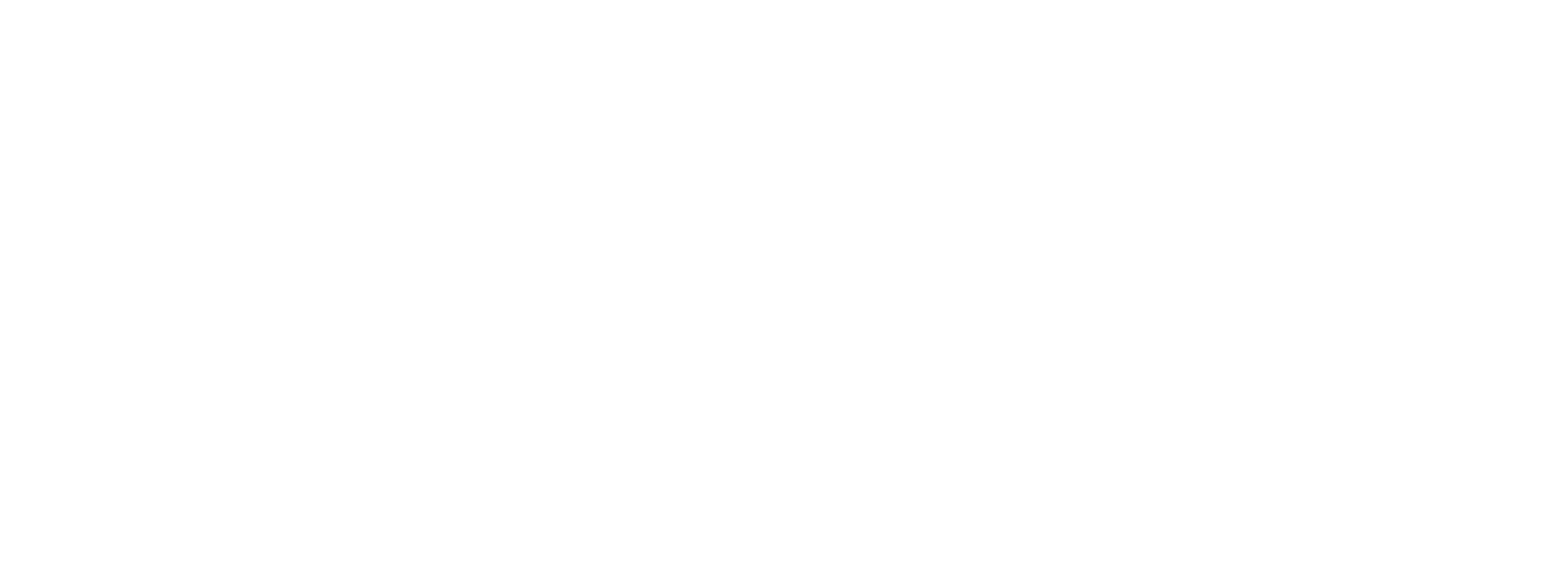 Get Ski Bots
